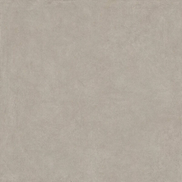 Homey Taupe N/R 60x120