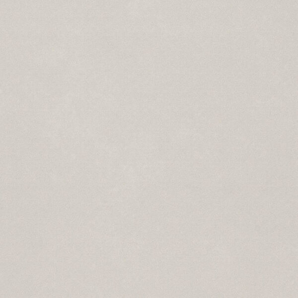 Pastelli Assenzio Matt 90x90 Rett