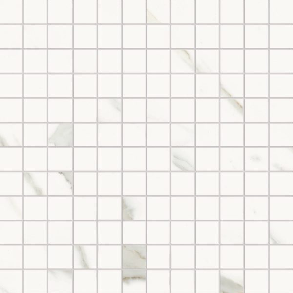 AE EXT6 LP 60x120 - Image 3